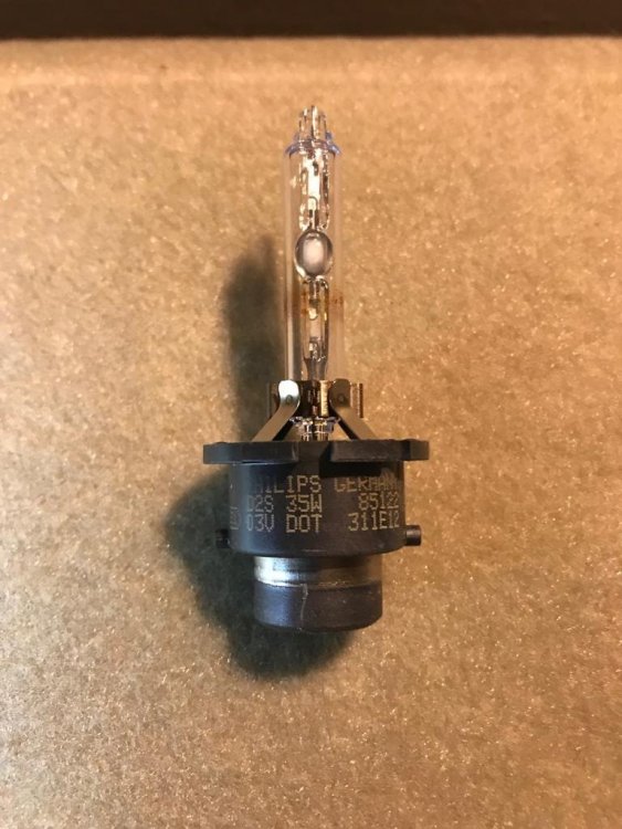 WhatsApp Image 2019-05-01 at 12.14.10.jpeg