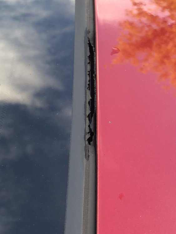 Photo 21.07.2020, 18 38 36.jpg