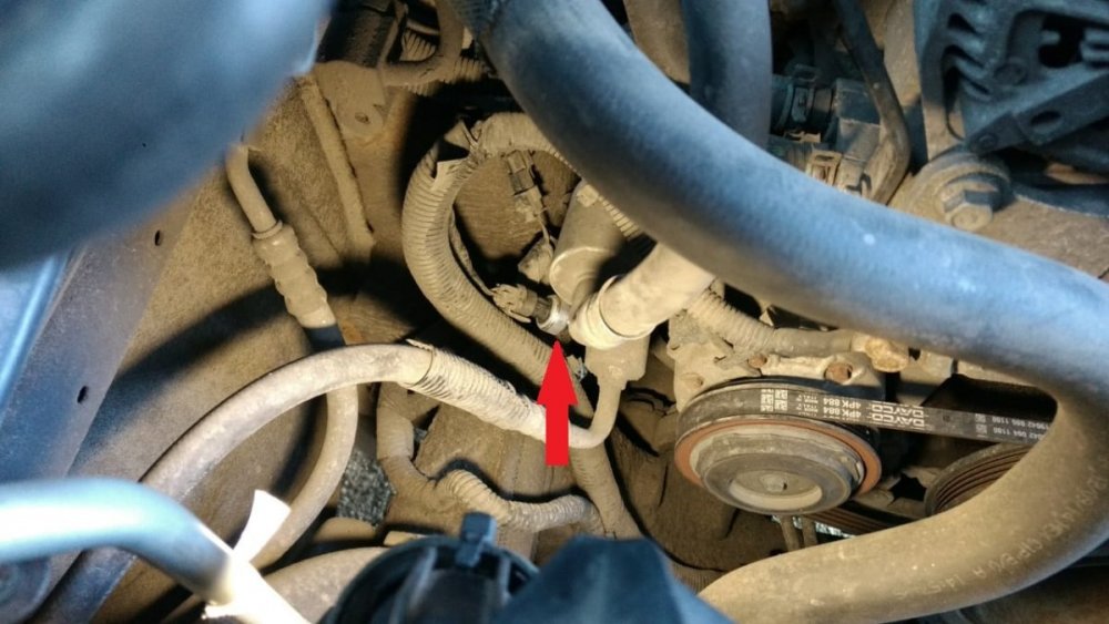 WhatsApp Image 2022-06-24 at 19.44.47 (1).jpeg