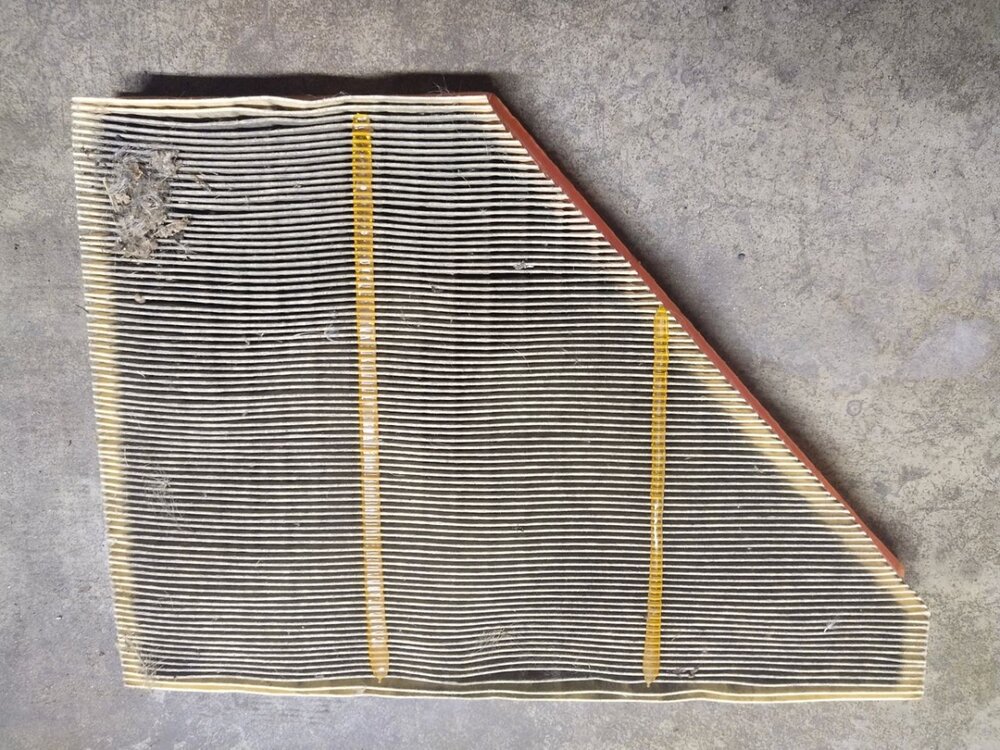 photo_2023-02-26 10.05.49.jpeg