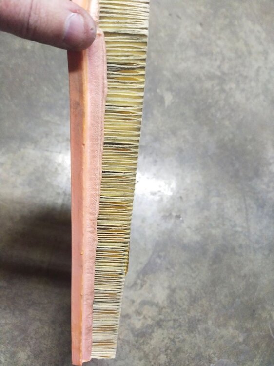 photo_2023-02-26 10.05.50.jpeg